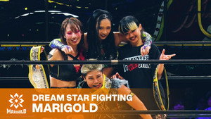 Marigold Burning Desire 2026 ~ Day 6