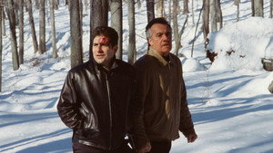 Pine Barrens