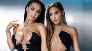 2023 AVN Awards