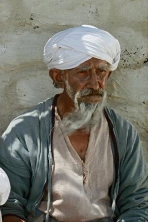 Irakli Nijaradze