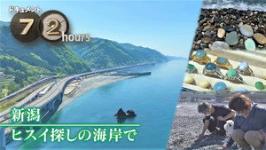 Nature's Treasure Hunt on a Niigata Beach