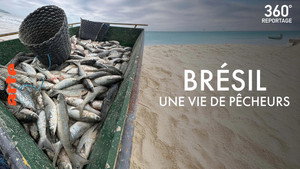 Brazil, Fishermen Facing Fish Scarcity