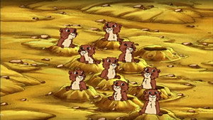 Panchita the Prairie Dog Finds a New Prairie