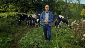 Somerset: The Concrete Cow-Shed