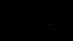 Stars