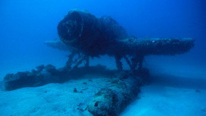 War Wrecks in the Coral Seas