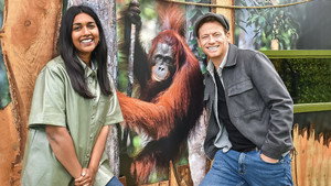 Orangutan Den