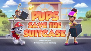 Pups Save the Suitcase
