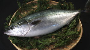 BURI