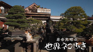 Episode 156