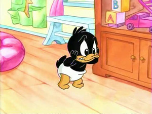 Bruce Bunny