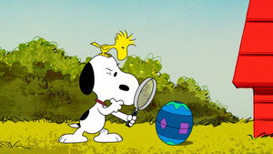 The Beagle Did It!