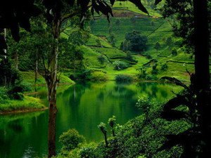 Sri Lanka: Monsoon Island