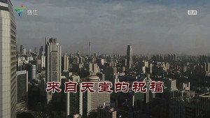 Episode 3591