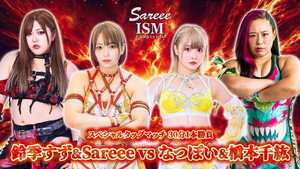 Sareee-ISM Chapter IX