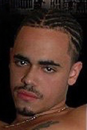 Latin Stallion