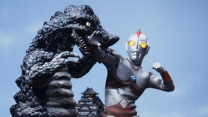 The Time Tunnel Shadow Warriors