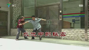 Episode 3244