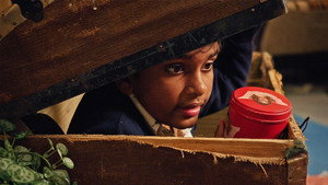 The Hunt for the Last Cookie