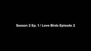 Love Birds Episode 2