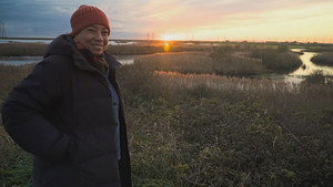 Romney Marsh