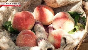 Peaches