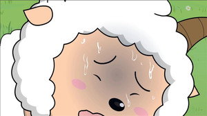 Episode 206