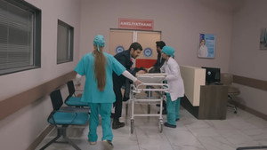 Episode 213