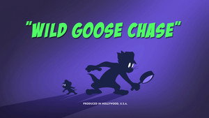 Wild Goose Chase