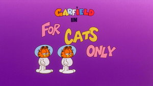 For Cats Only