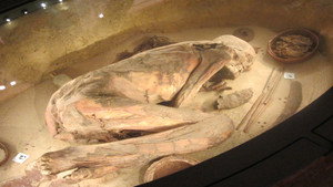 The treasures of the Egyptian Museum of Turin (second version)