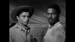 The Shooting of Jesse May