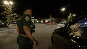 Convenience Store Homicide