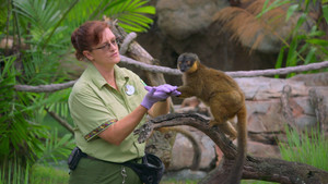 Kris Becker: Animal Keeper