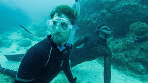 Shark Swarm Freedive