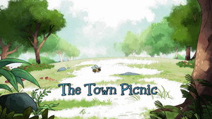 The Town Picnic