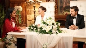 Episode 34