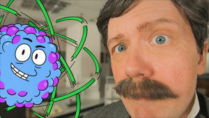 Hexagons, Jelly Walls and Half Life