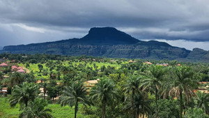 Guinea’s Adventurous Trade Routes