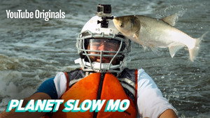 Flying Fish to the Face in Slow Motion