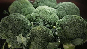 Broccoli