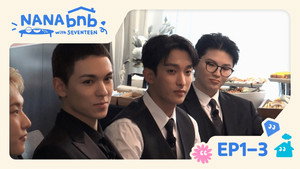 EP1-3. SEVENTEEN, the Professionals