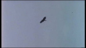 Valley of the Eagles