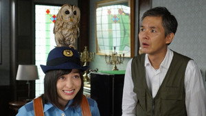 The Noisy Owl