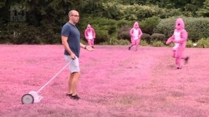 Pity in Pink