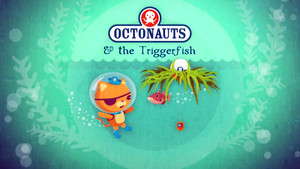 The Triggerfish