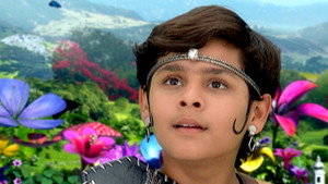 A New Member In Pari Lok
