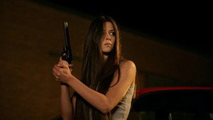 The gun