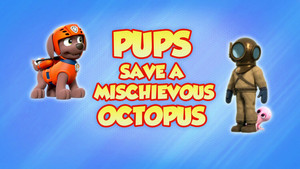 Pups Save a Mischievous Octopus