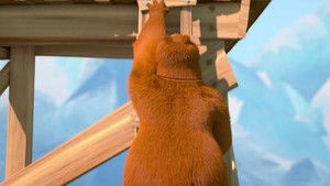 Treasure Bear